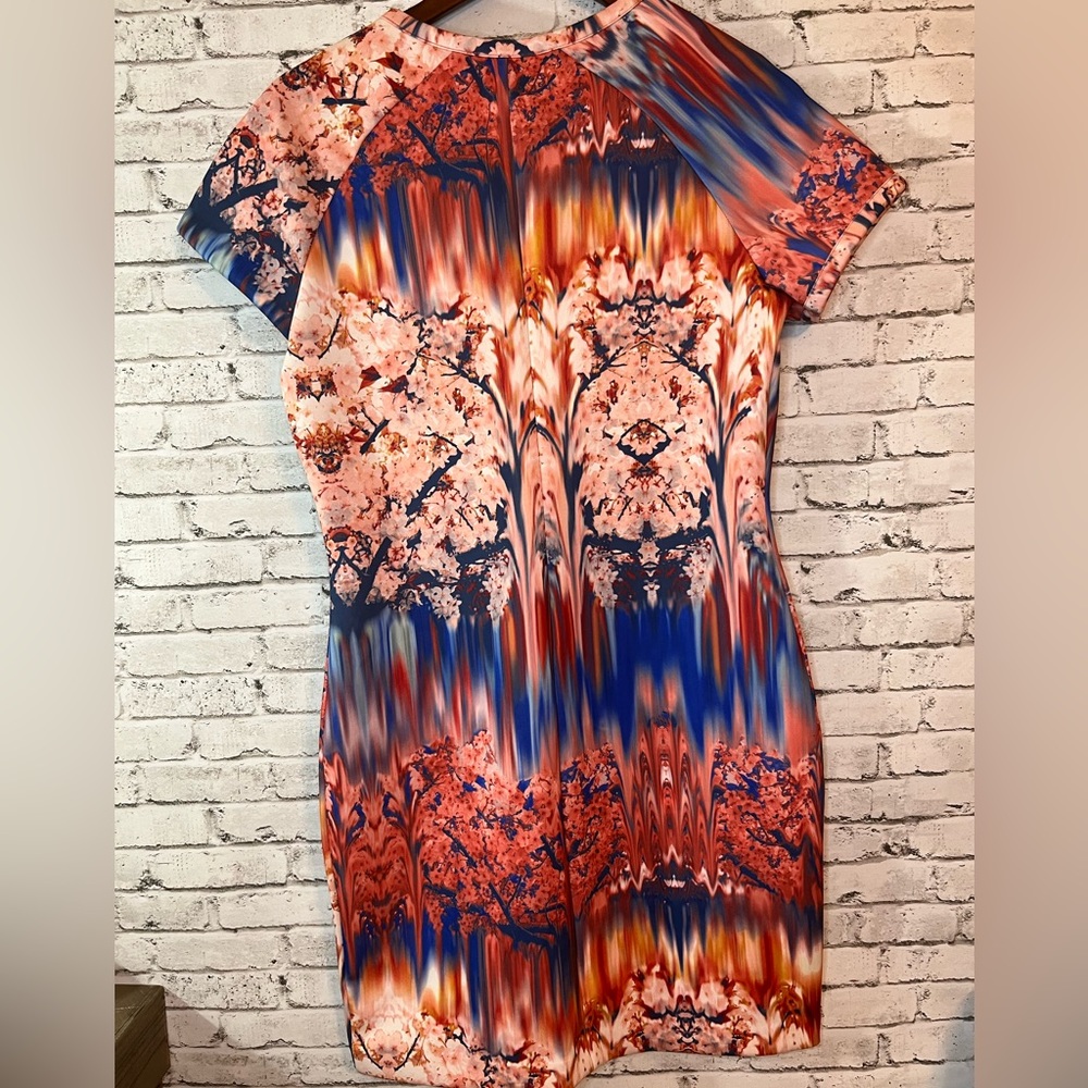 ZARA W&B Collection Cherry Blossom Scuba Dress Large